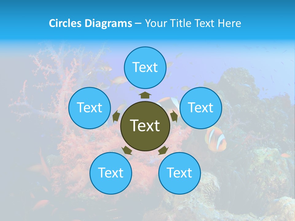 Marine Red Ocean PowerPoint Template