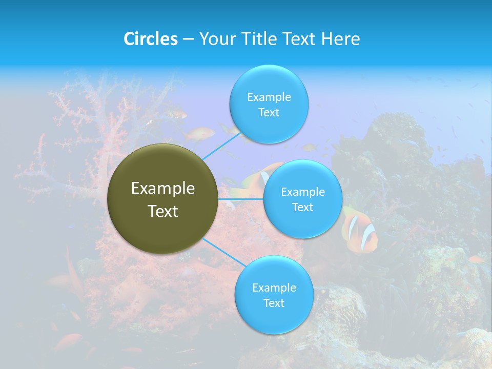 Marine Red Ocean PowerPoint Template