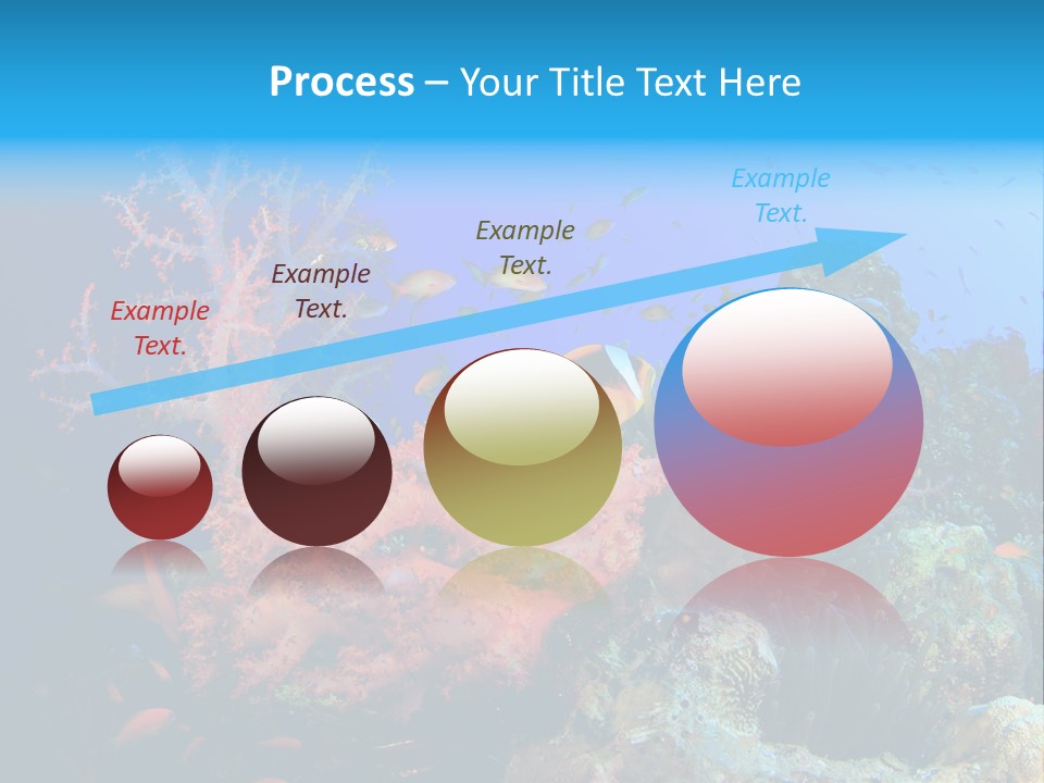 Marine Red Ocean PowerPoint Template