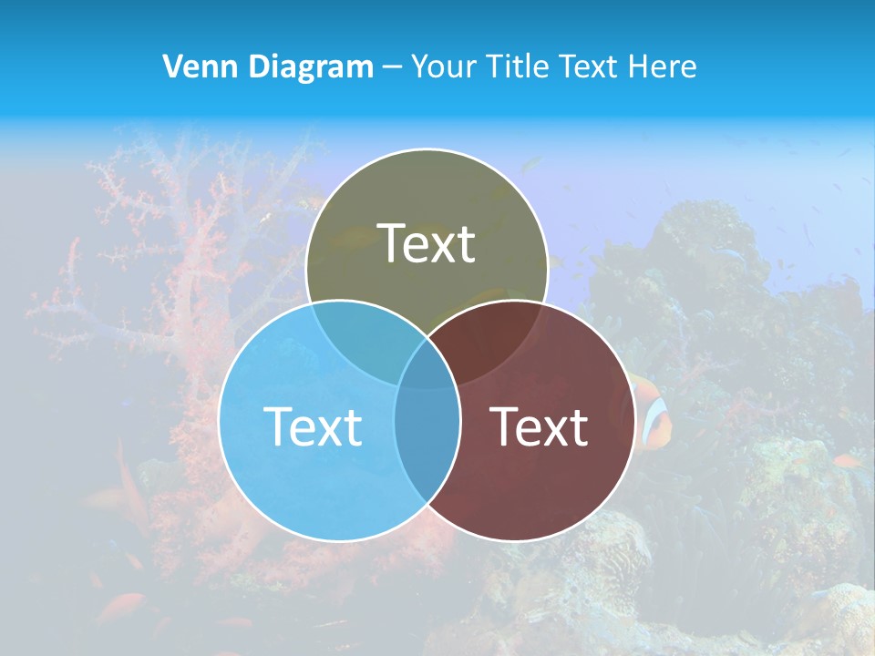 Marine Red Ocean PowerPoint Template