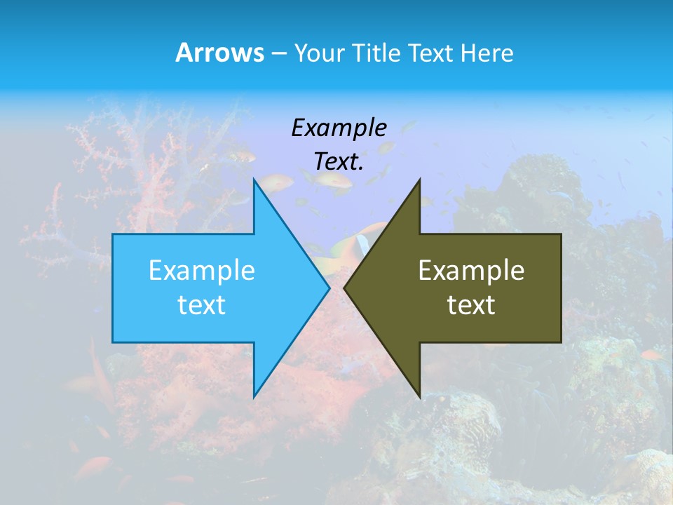 Marine Red Ocean PowerPoint Template