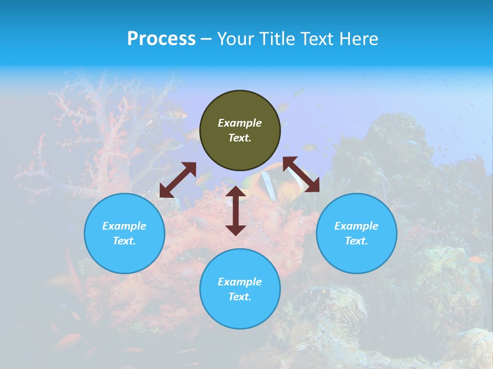 Marine Red Ocean PowerPoint Template