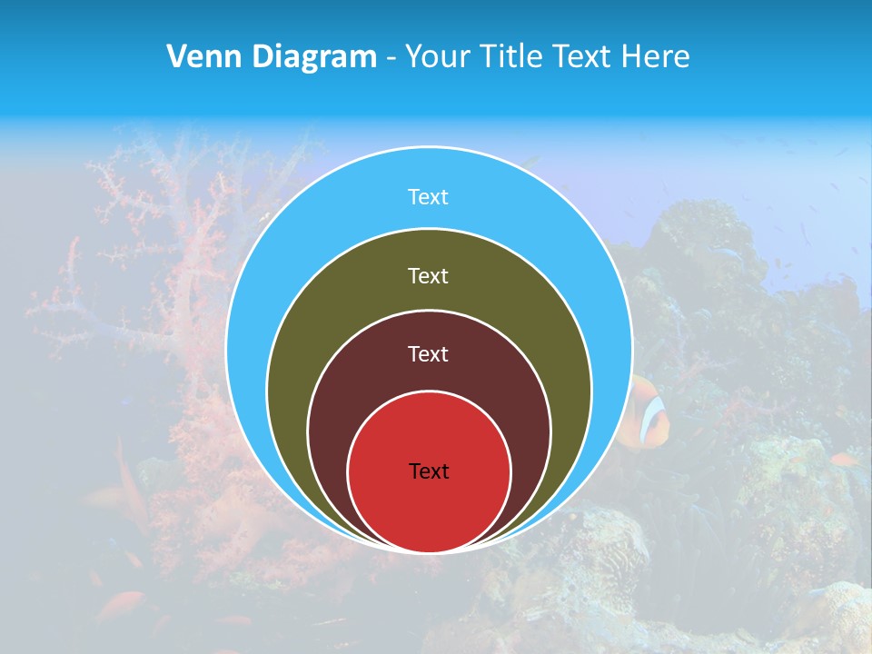 Marine Red Ocean PowerPoint Template