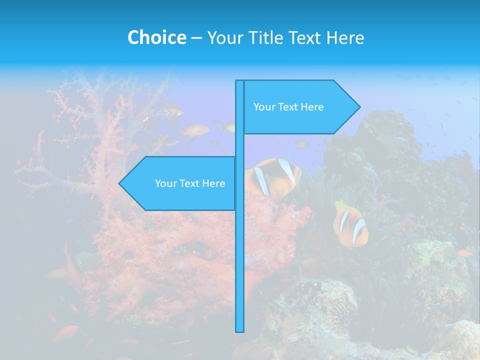 Marine Red Ocean PowerPoint Template