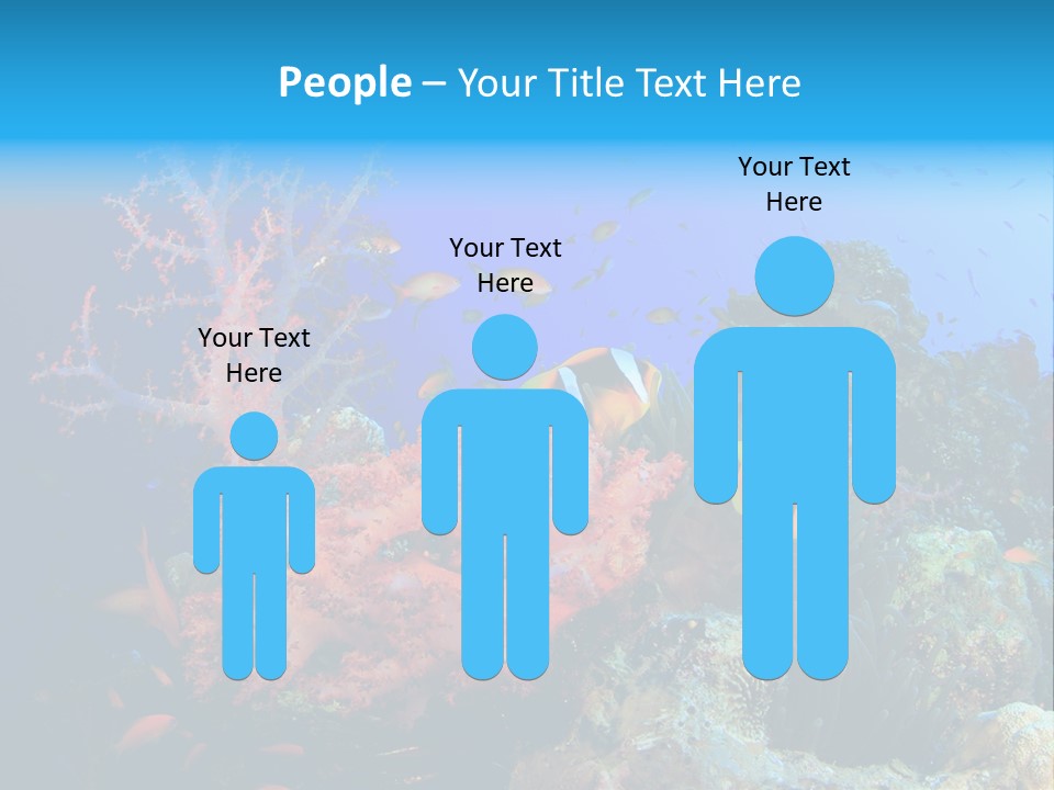 Marine Red Ocean PowerPoint Template