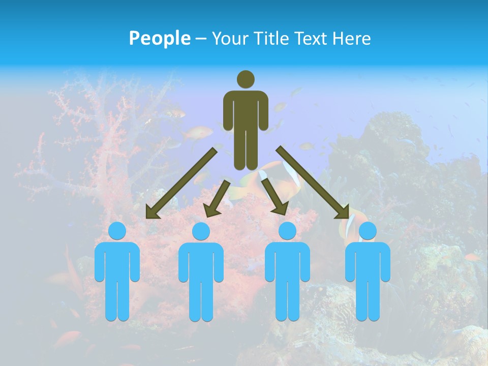 Marine Red Ocean PowerPoint Template