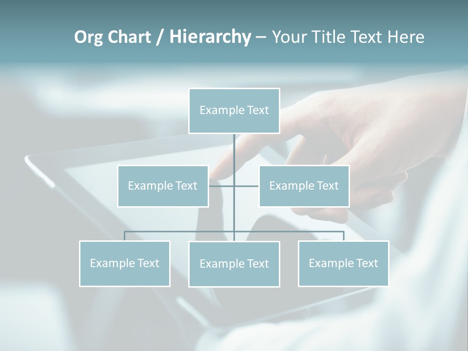 Adult Showing Object PowerPoint Template