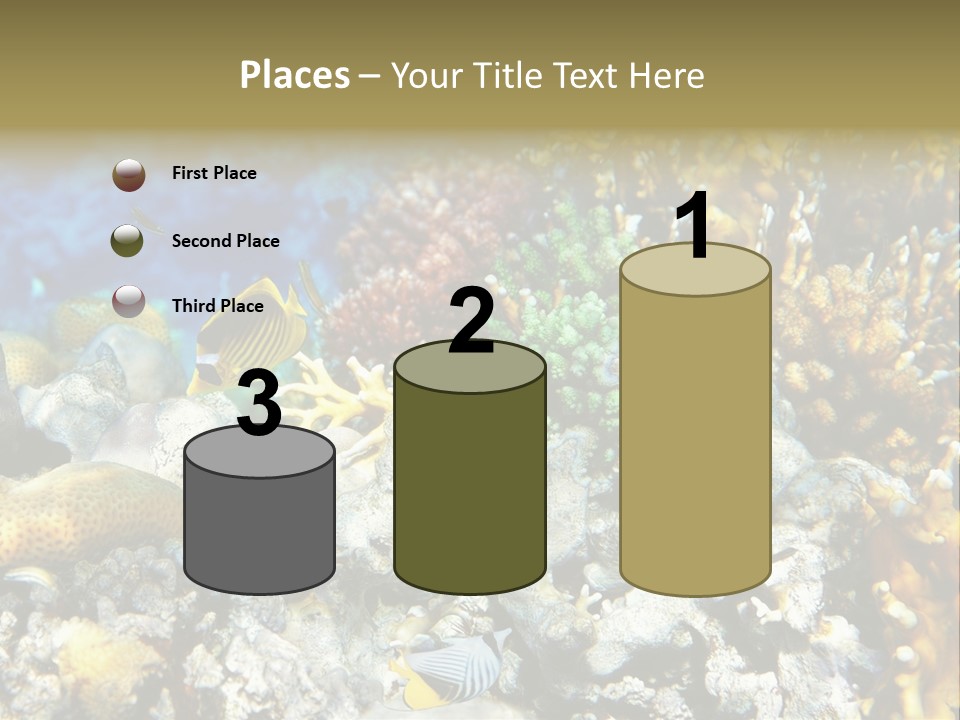 Sharm Reef Atoll PowerPoint Template