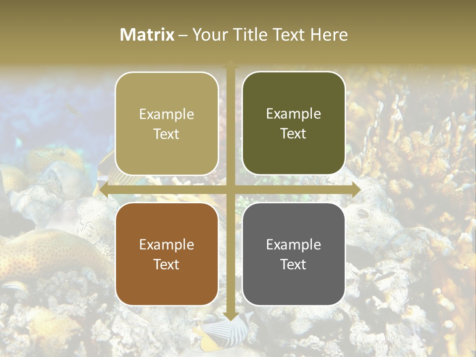 Sharm Reef Atoll PowerPoint Template