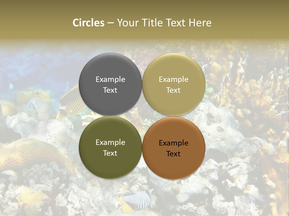 Sharm Reef Atoll PowerPoint Template