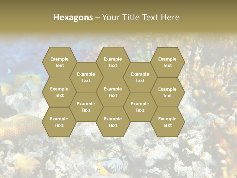 Sharm Reef Atoll PowerPoint Template