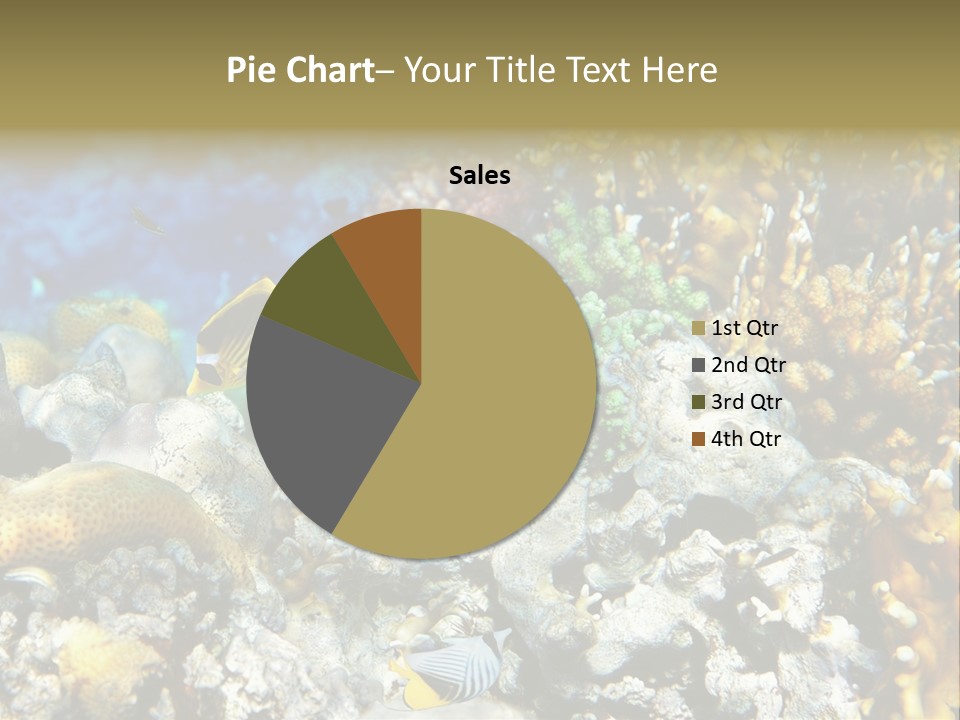 Sharm Reef Atoll PowerPoint Template