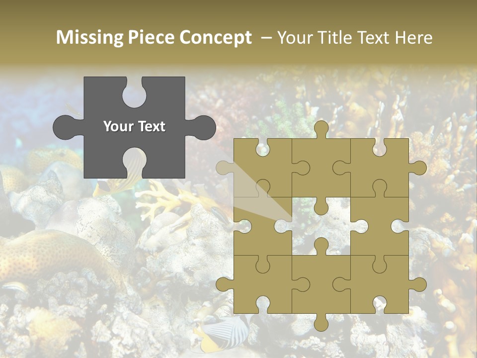 Sharm Reef Atoll PowerPoint Template