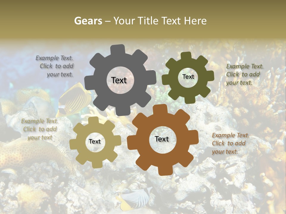 Sharm Reef Atoll PowerPoint Template