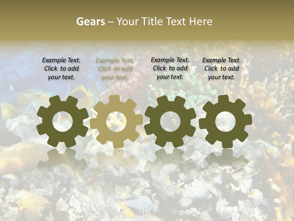 Sharm Reef Atoll PowerPoint Template