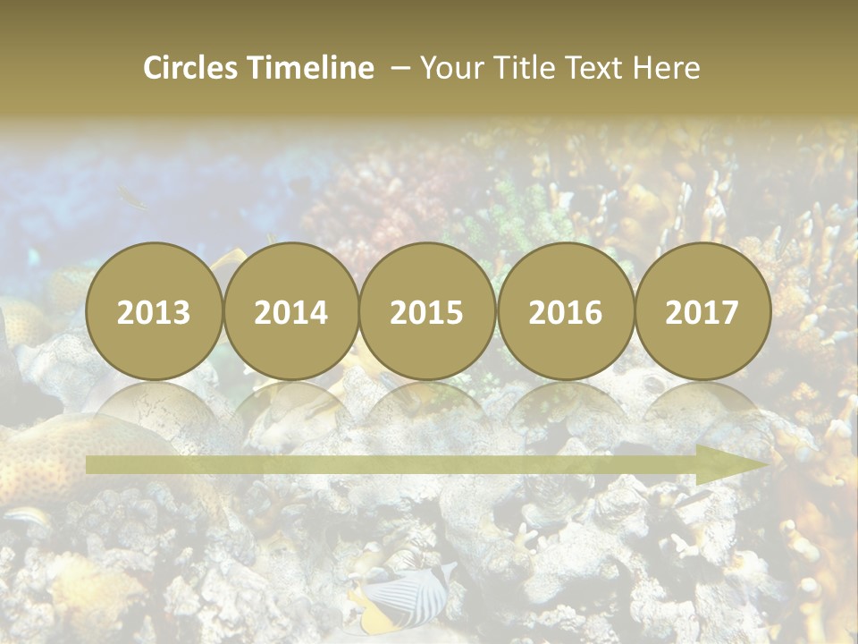 Sharm Reef Atoll PowerPoint Template