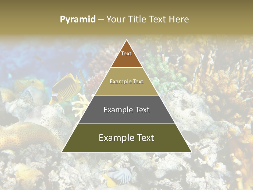 Sharm Reef Atoll PowerPoint Template