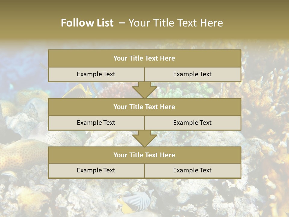 Sharm Reef Atoll PowerPoint Template
