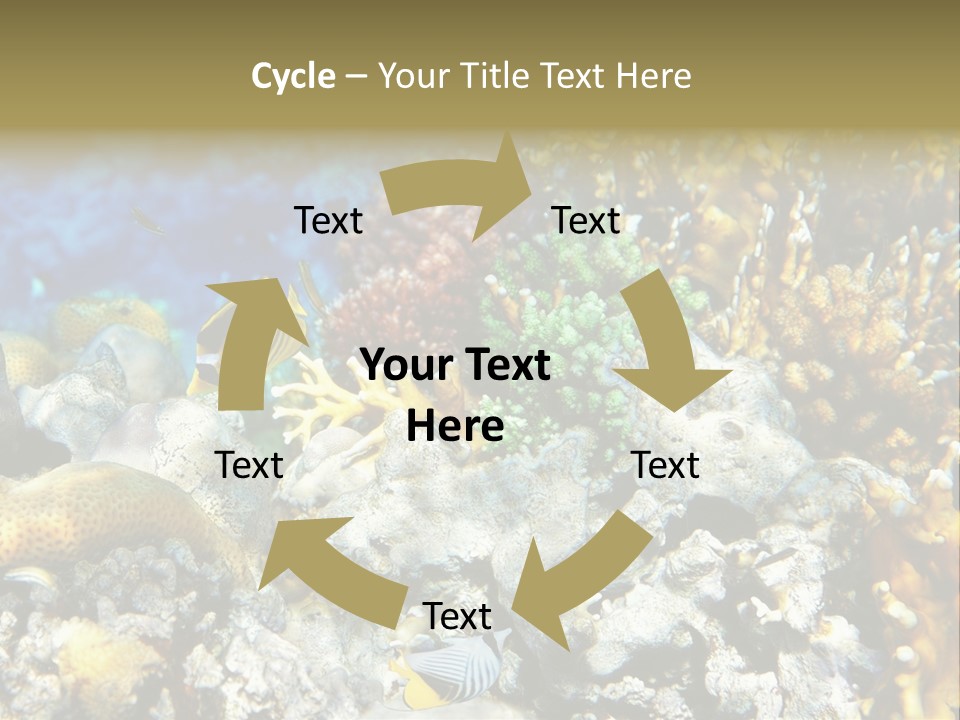 Sharm Reef Atoll PowerPoint Template