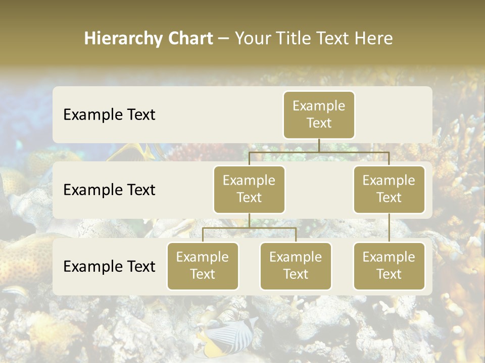 Sharm Reef Atoll PowerPoint Template