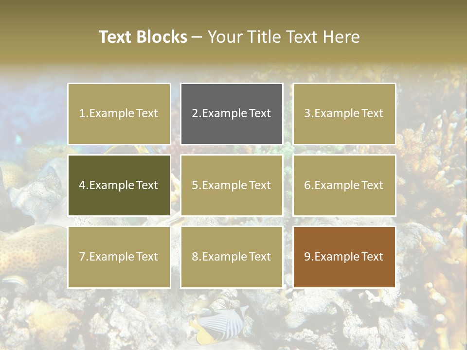 Sharm Reef Atoll PowerPoint Template