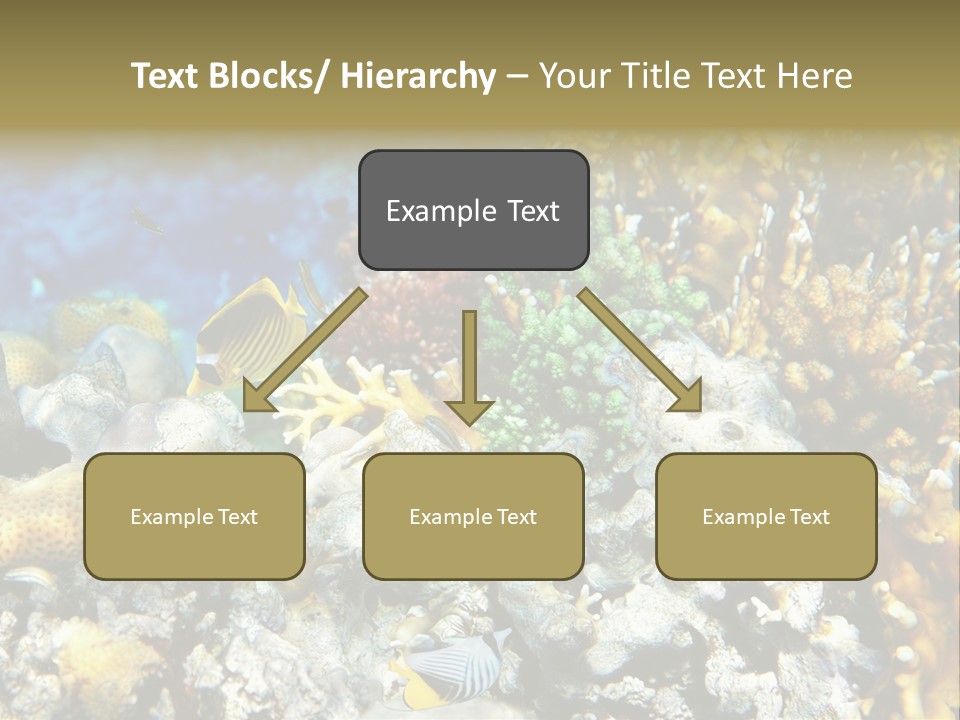 Sharm Reef Atoll PowerPoint Template