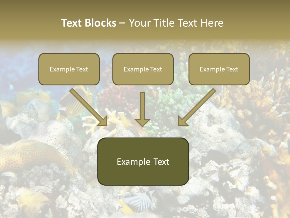 Sharm Reef Atoll PowerPoint Template