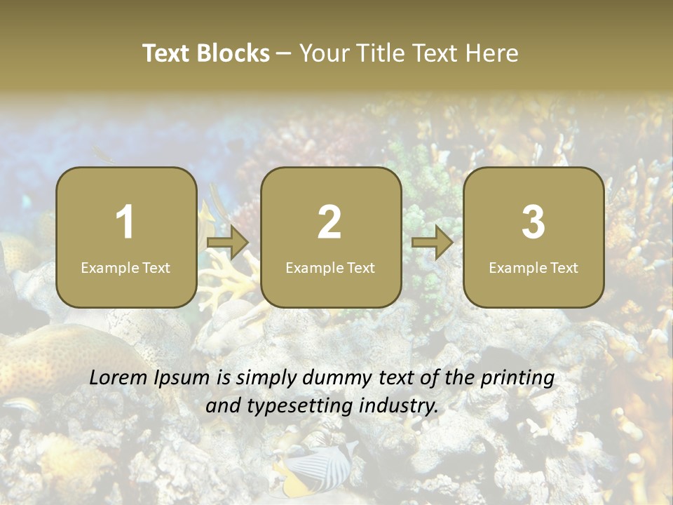 Sharm Reef Atoll PowerPoint Template