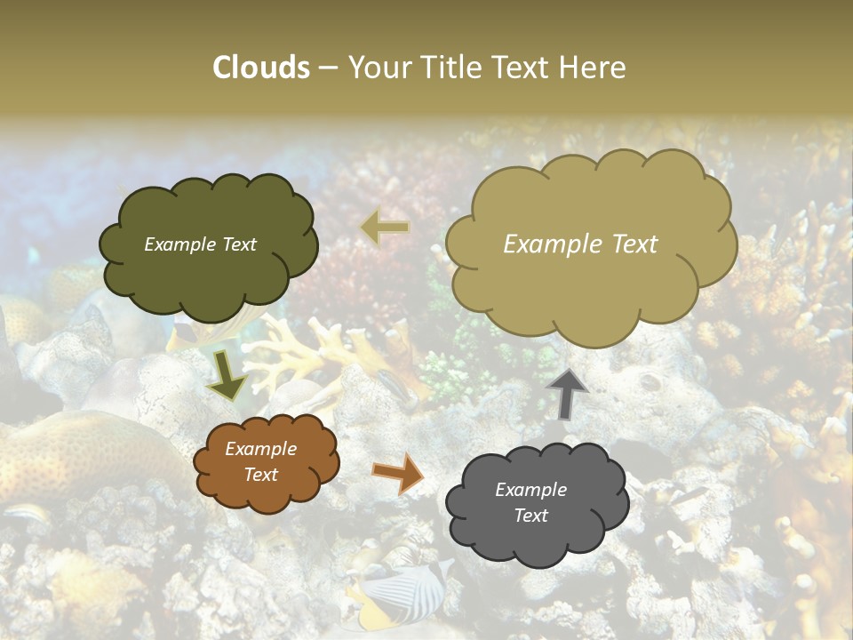 Sharm Reef Atoll PowerPoint Template