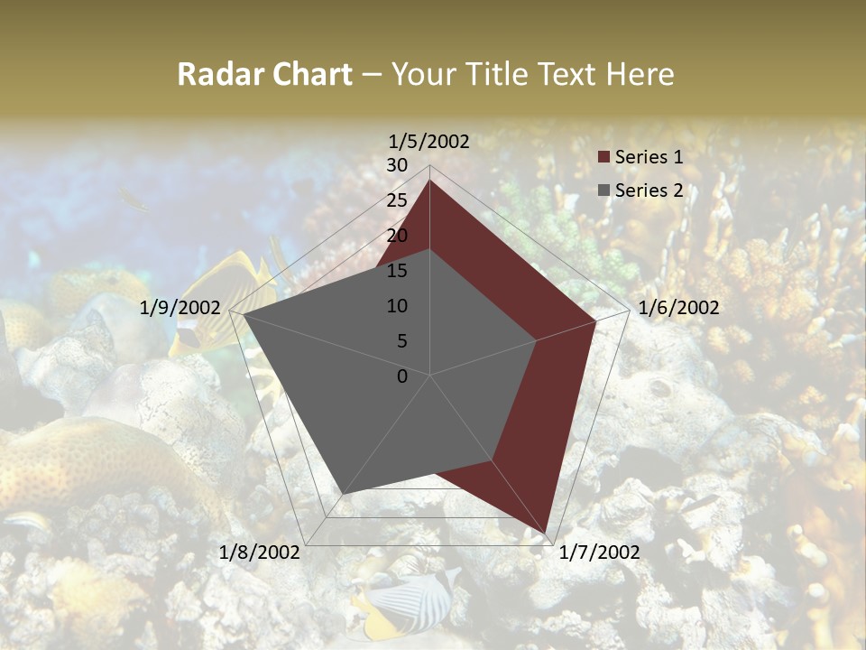 Sharm Reef Atoll PowerPoint Template