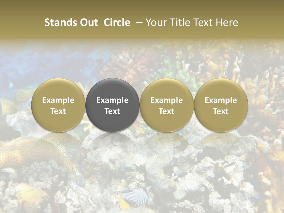 Sharm Reef Atoll PowerPoint Template