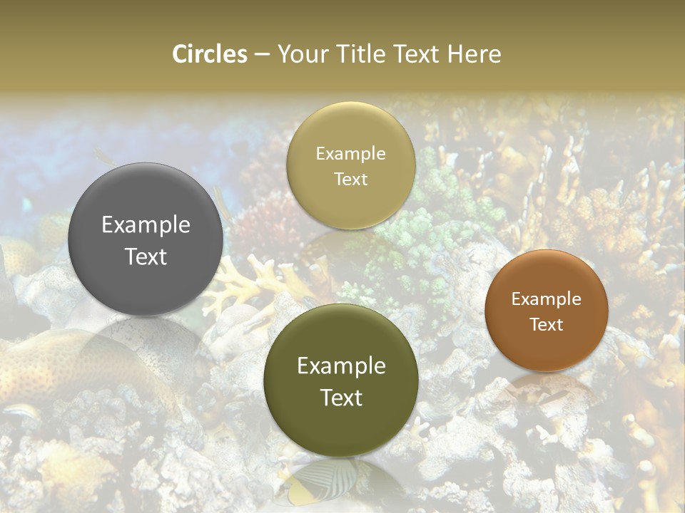 Sharm Reef Atoll PowerPoint Template