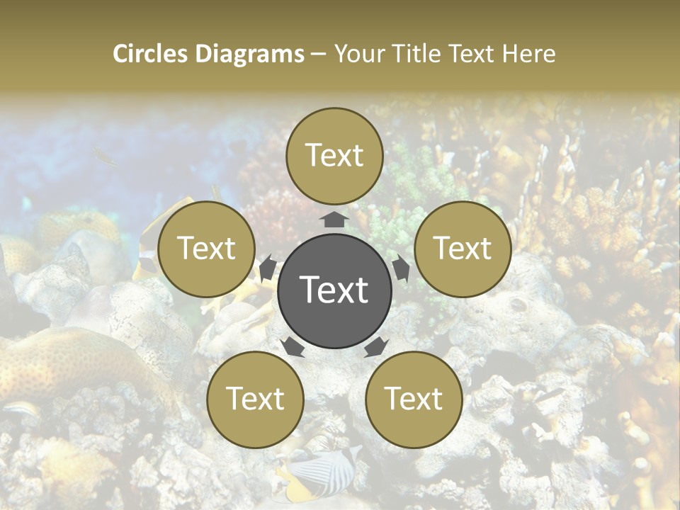 Sharm Reef Atoll PowerPoint Template