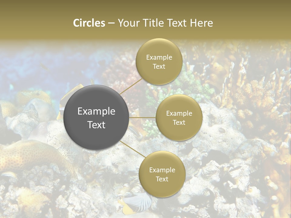 Sharm Reef Atoll PowerPoint Template