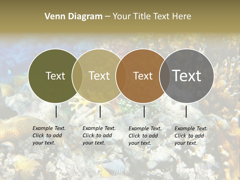 Sharm Reef Atoll PowerPoint Template