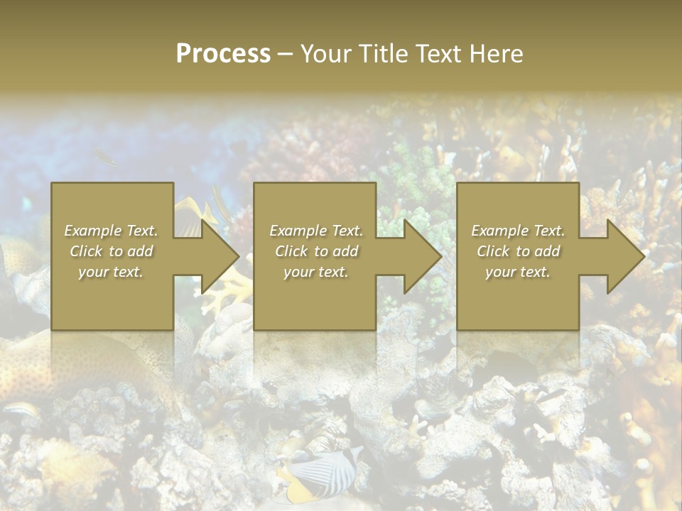 Sharm Reef Atoll PowerPoint Template