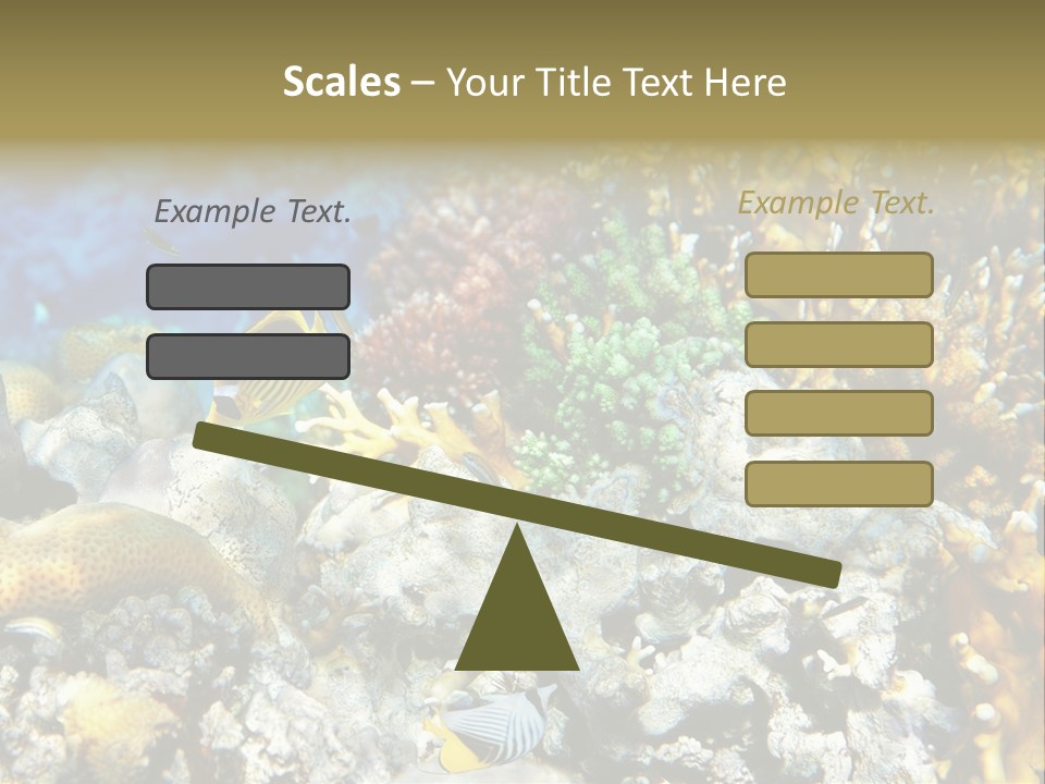 Sharm Reef Atoll PowerPoint Template