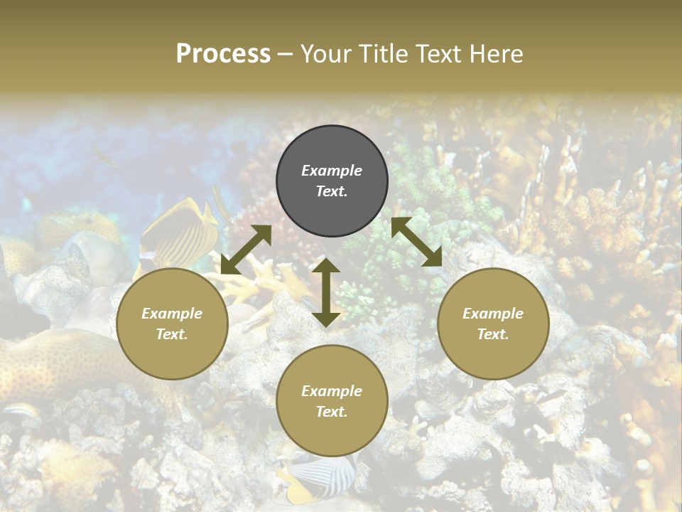 Sharm Reef Atoll PowerPoint Template