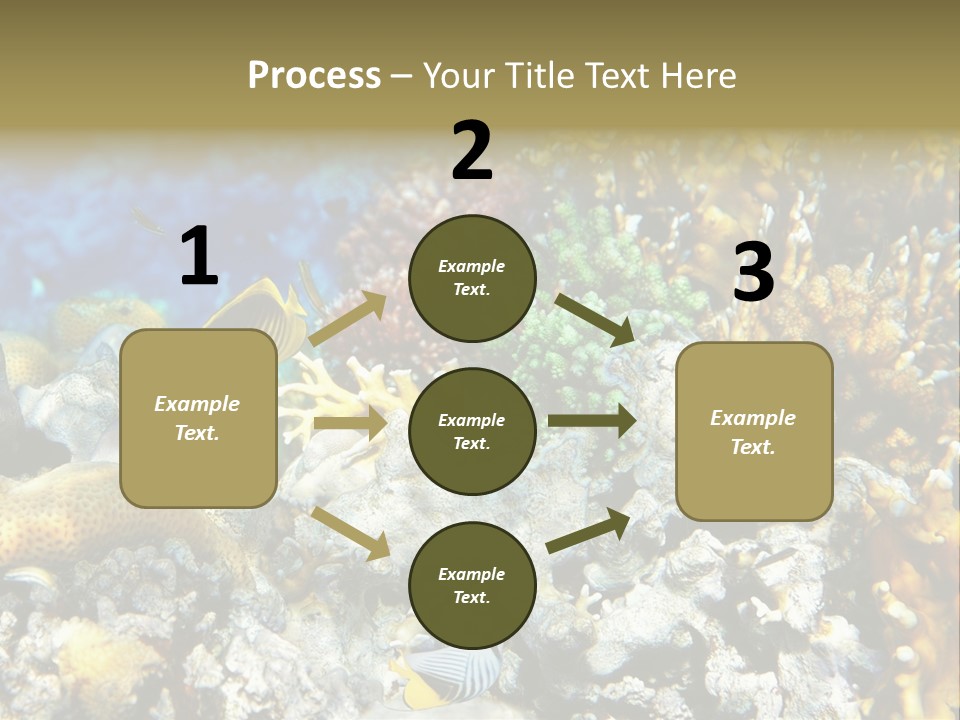 Sharm Reef Atoll PowerPoint Template
