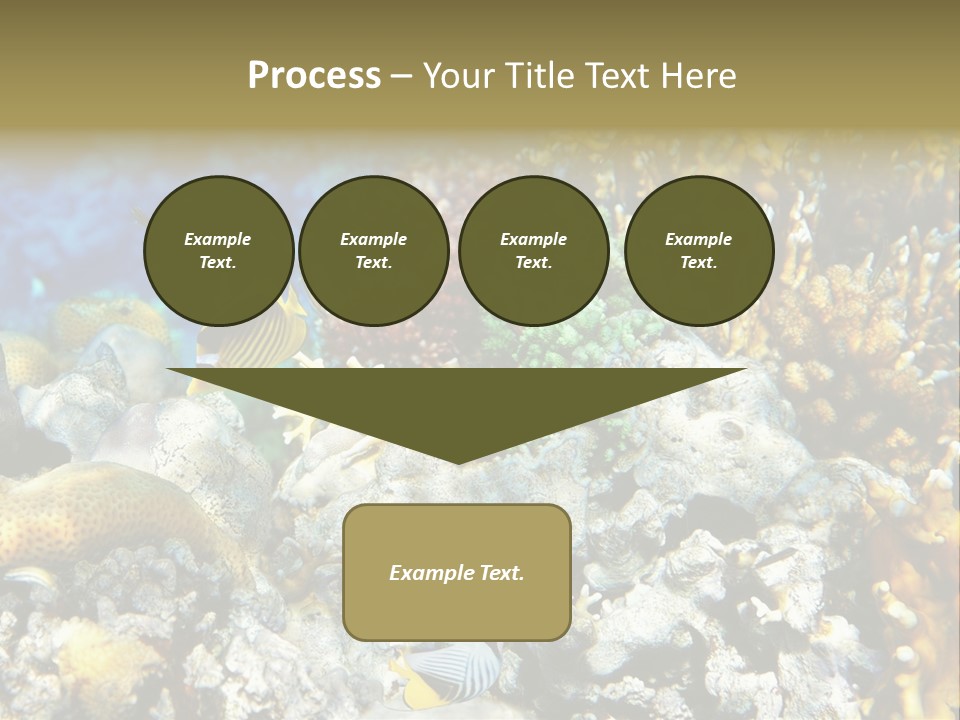 Sharm Reef Atoll PowerPoint Template