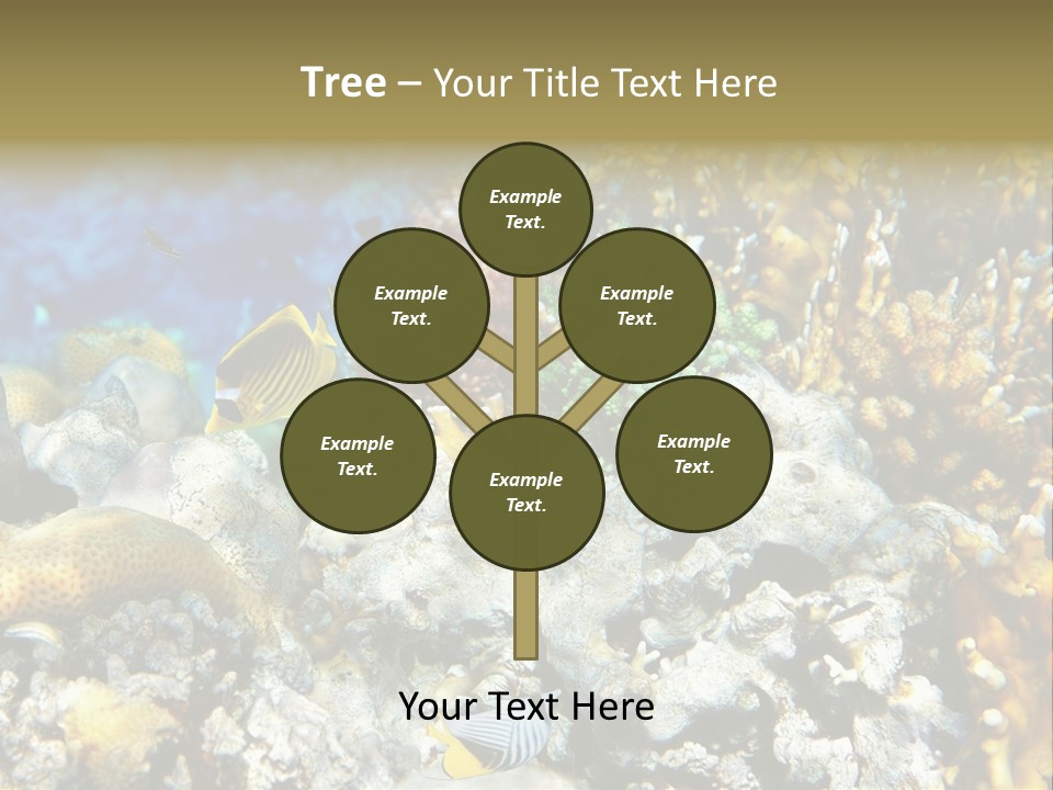 Sharm Reef Atoll PowerPoint Template