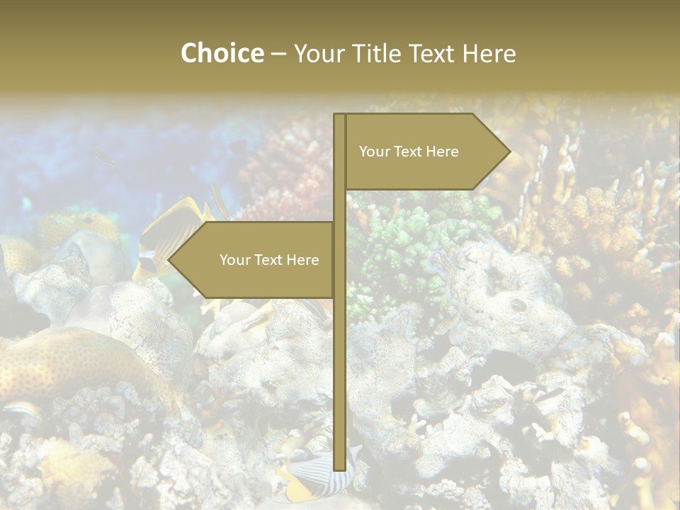 Sharm Reef Atoll PowerPoint Template
