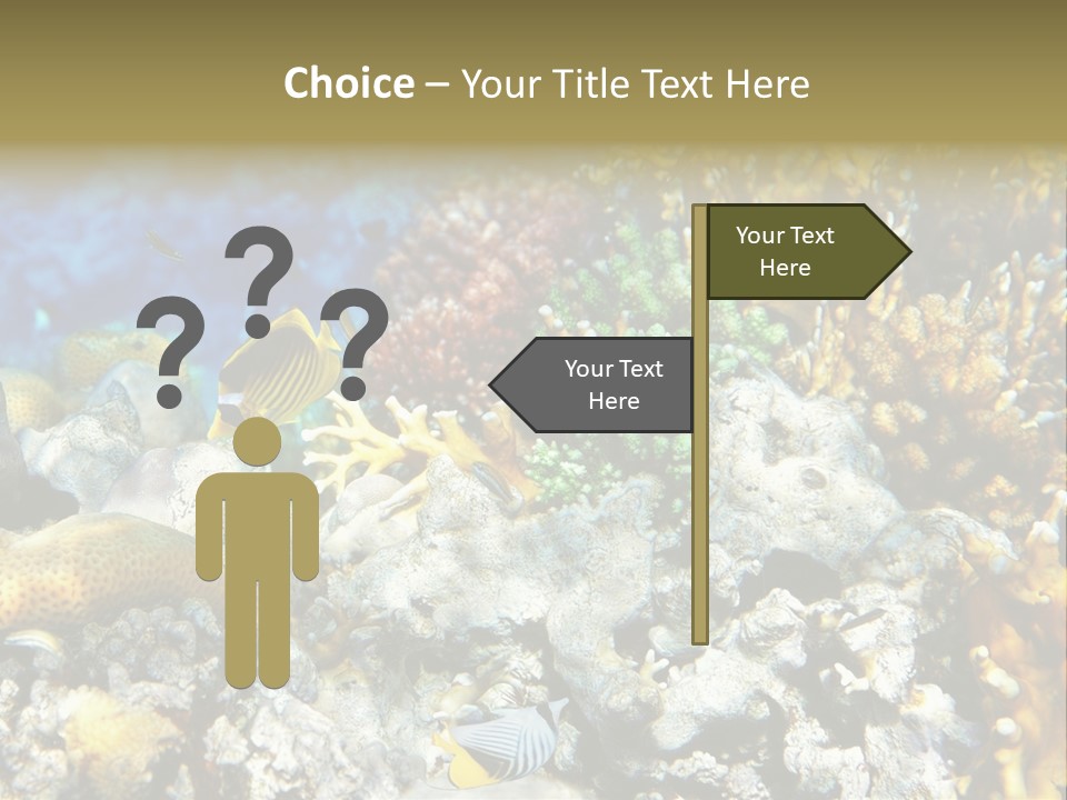 Sharm Reef Atoll PowerPoint Template