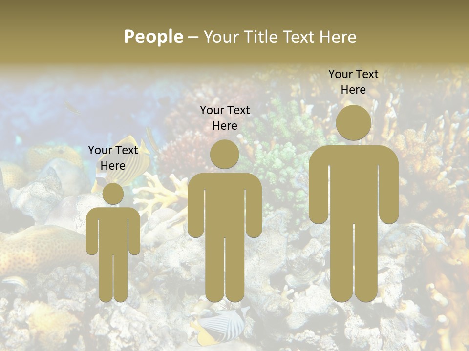 Sharm Reef Atoll PowerPoint Template