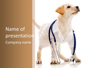 Health Canine Care PowerPoint Template