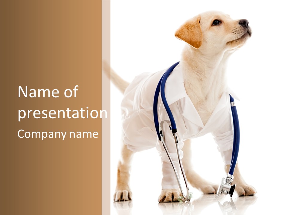 Health Canine Care PowerPoint Template