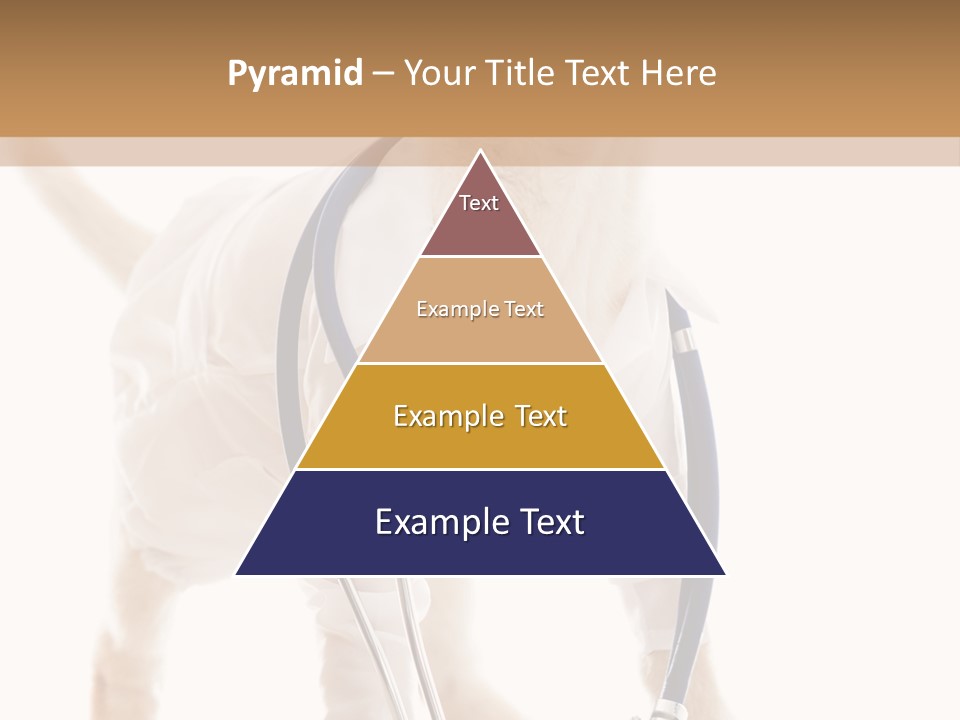 Health Canine Care PowerPoint Template