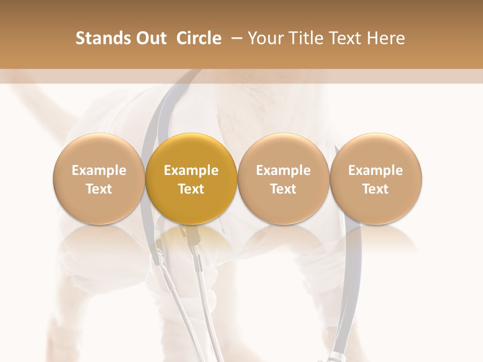 Health Canine Care PowerPoint Template