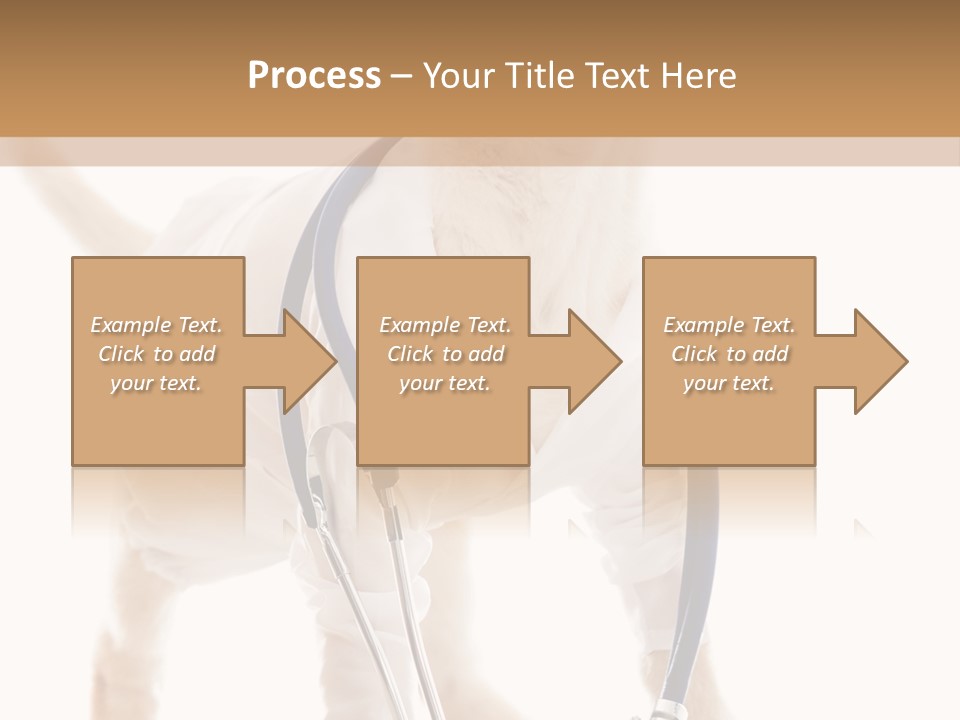 Health Canine Care PowerPoint Template