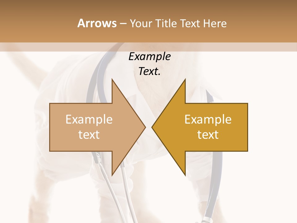 Health Canine Care PowerPoint Template